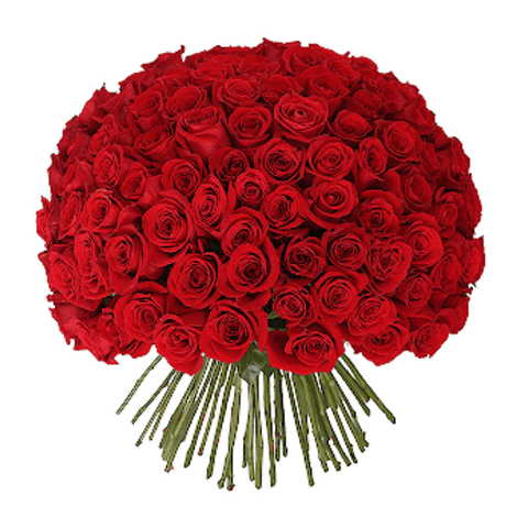 Valentine's Day 100 Red Roses Bouquet