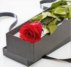Valentine's Day Single Red Rose Black Box